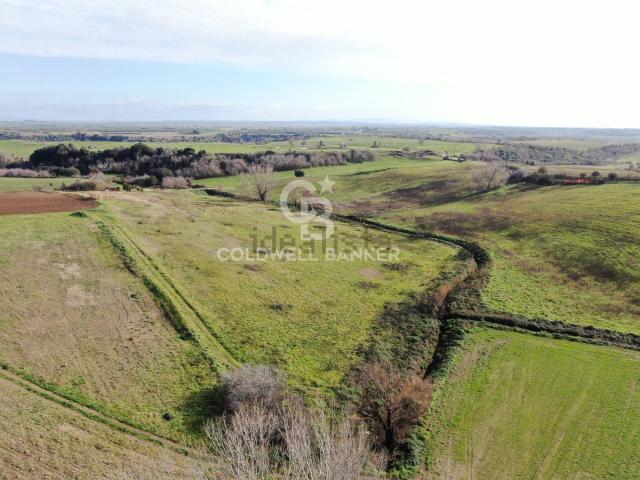 Terreno in vendita di 33190 m² in Piazza Vulci