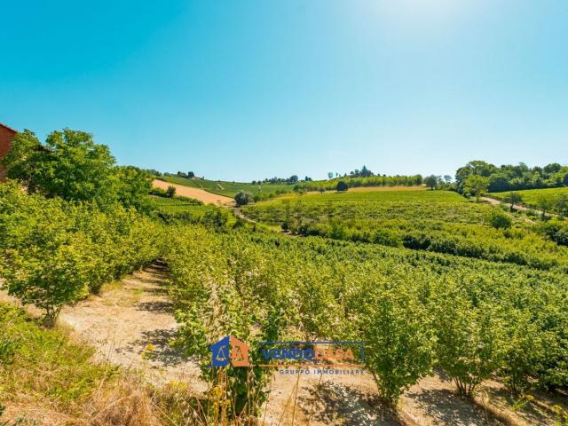 Terreno in vendita di 33259 m² in Località San Anna