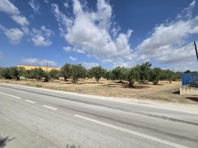 Terreno in vendita di 3330 m² in Strada Provinciale 37