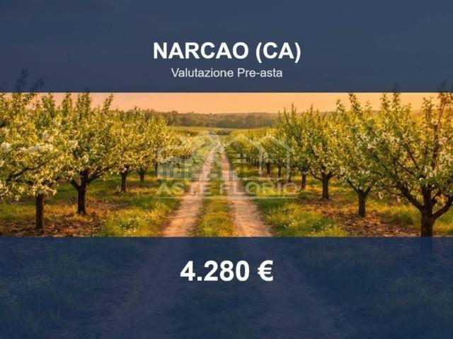Terreno in vendita di 3330 m² in Strada Senza Nome