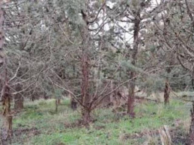 Terreno in vendita di 333270 m² in Via Incrociata