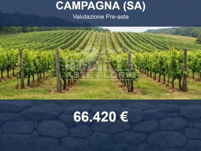Terreno in vendita di 3447 m² in Strada Provinciale 31