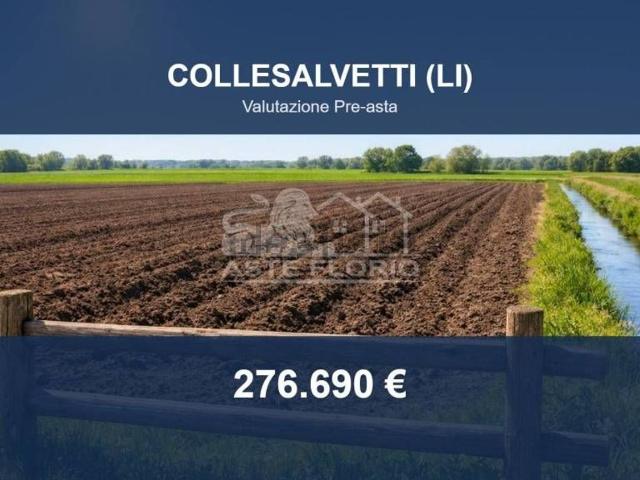 Terreno in vendita di 34551 m² in Via del Pero