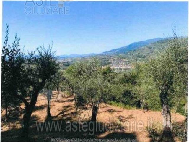 Terreno in vendita di 3460 m² in Via Colli per Uzzano