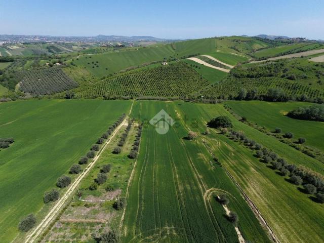 Terreno in vendita di 34655 m² in Via dei Tini, 2