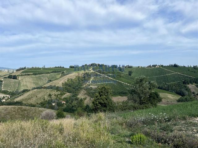 Terreno in vendita di 347000 m² in Via Agello, 21