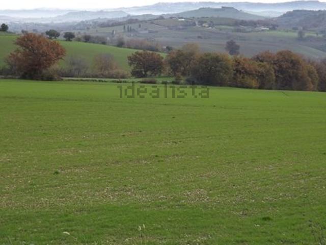 Terreno in vendita di 34000 m² in Contrada San Maria in Paterno