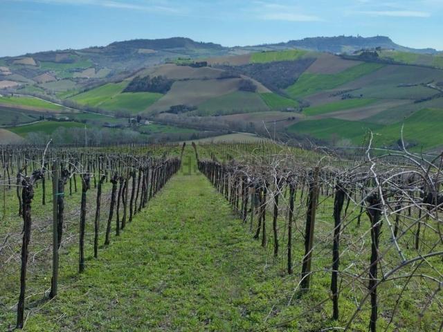Terreno in vendita di 34180 m²