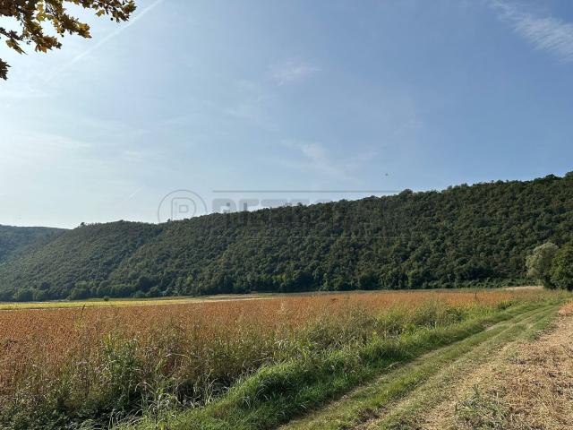Terreno in vendita di 34276 m²