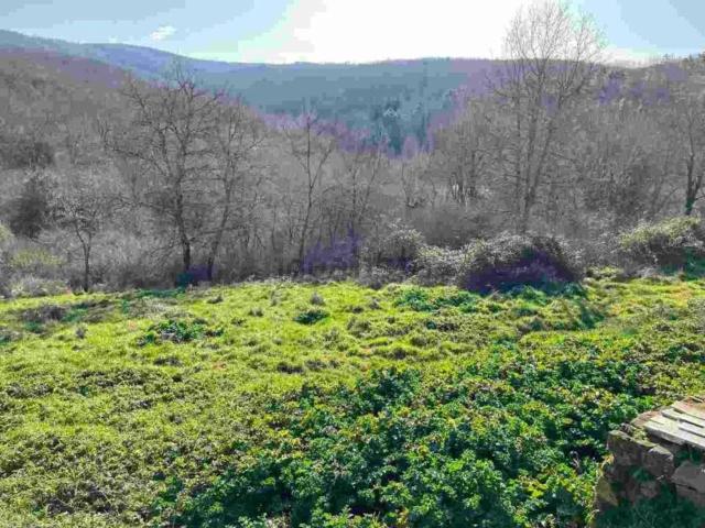 Terreno in vendita di 34322 m² in Strada Senza Nome