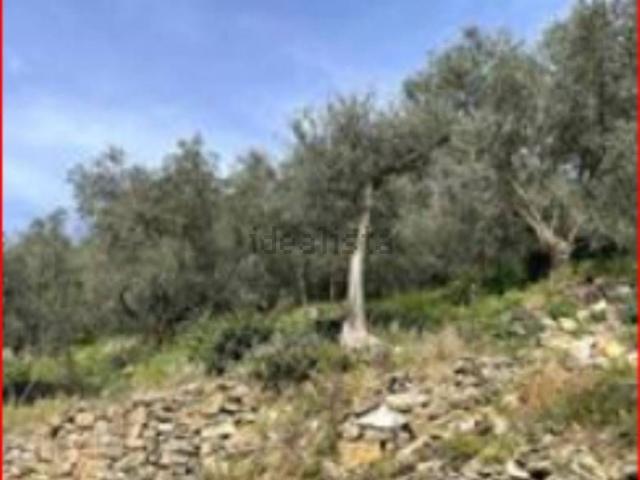 Terreno in vendita di 3549 m² in Via Felice Paglieri, 34