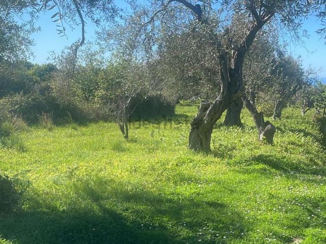 Terreno in vendita di 35000 m² in Via Canicari