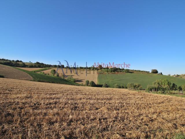 Terreno in vendita di 35000 m² in Contrada Commenda