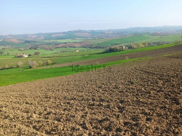 Terreno in vendita di 35000 m² in Contrada Renacci