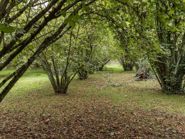 Terreno in vendita di 35000 m² in Località Sant&apos Angelo