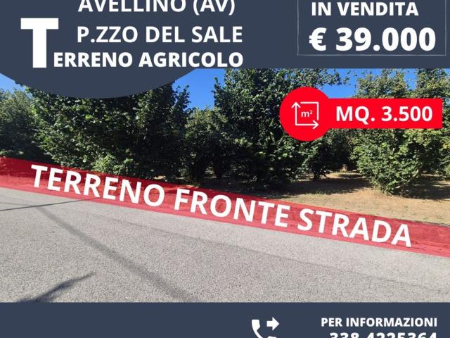 Terreno in vendita di 3500 m² in Strada Provinciale 221