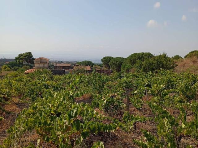 Terreno in vendita di 3500 m²