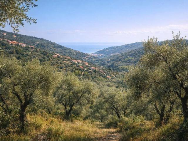 Terreno in vendita di 3500 m²