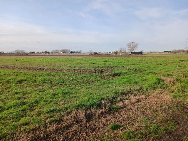 Terreno in vendita di 3512 m² in Via Scardona, 1055