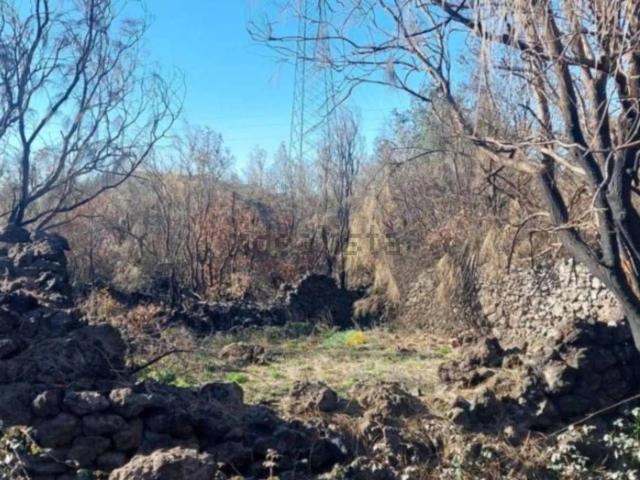 Terreno in vendita di 36546 m² in Via Alfredo Maria Mazzei