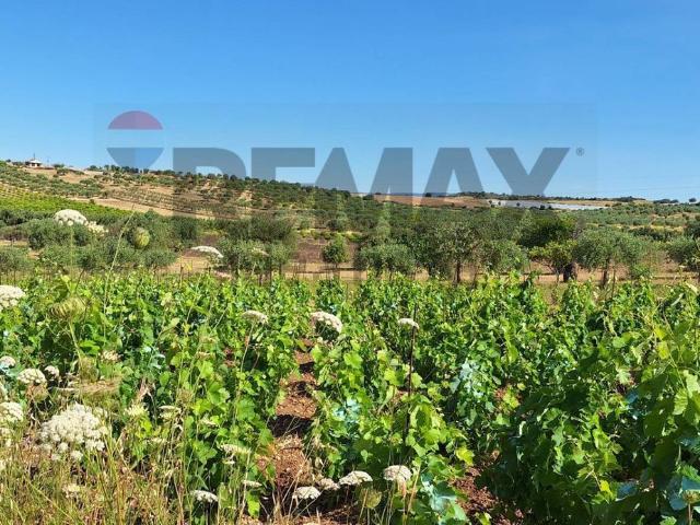 Terreno in vendita di 36659 m² in Strada Senza Nome