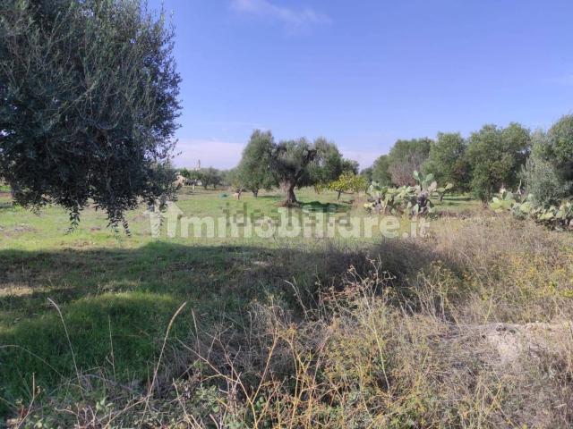 Terreno in vendita di 3665 m²
