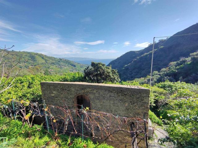 Terreno in vendita di 3689 m²