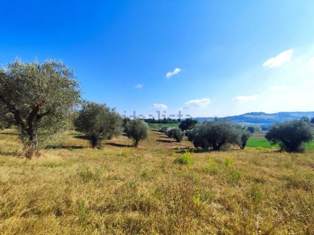Terreno in vendita di 36262 m² in Via Sant&apos Andrea in Villis