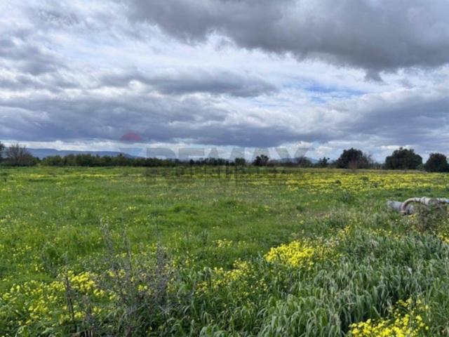 Terreno in vendita di 37500 m² in Via Conte Alaimo