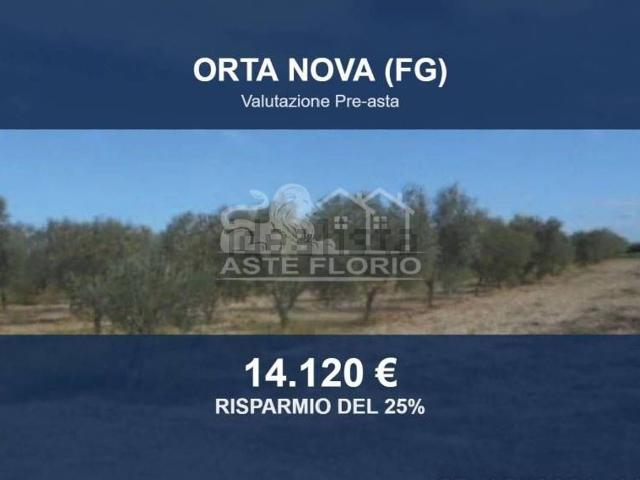 Terreno in vendita di 3768 m² in Strada Provinciale 110