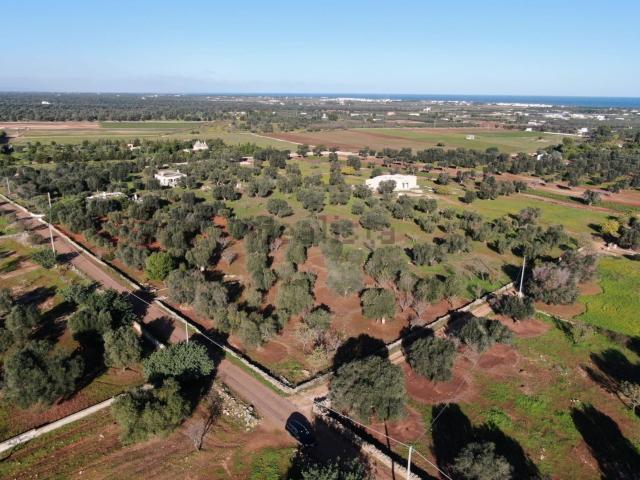 Terreno in vendita di 3782 m² in Contrada Morgicchio