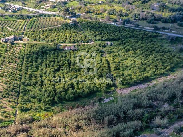 Terreno in vendita di 37894 m² in Strada Provinciale 2