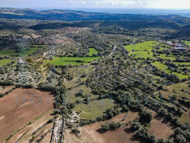 Terreno in vendita di 37000 m² in Via Tommaso Fazello, 228