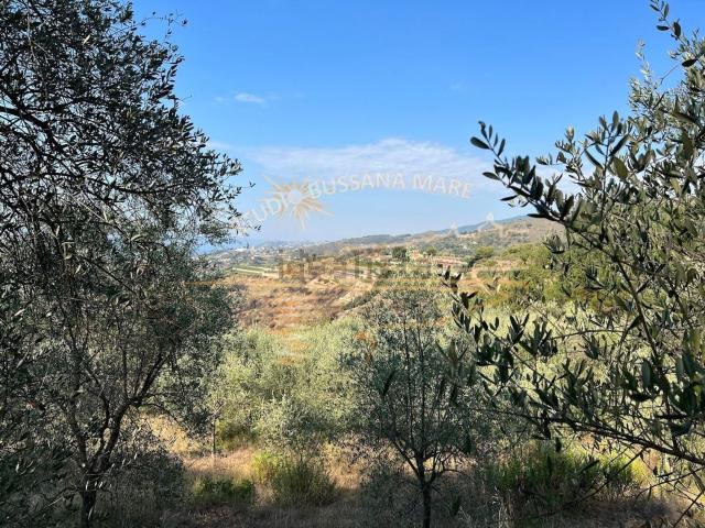 Terreno in vendita di 3700 m² in Strada Collette Beulle