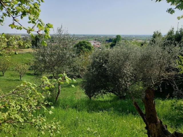 Terreno in vendita di 3700 m²