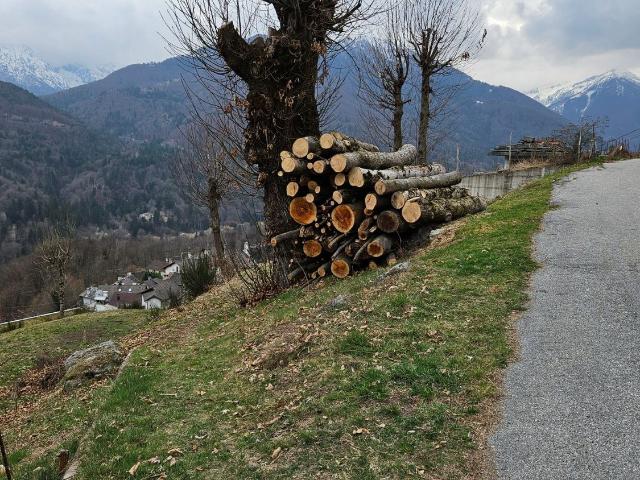 Terreno in vendita di 370 m² in Via Circonvallazione