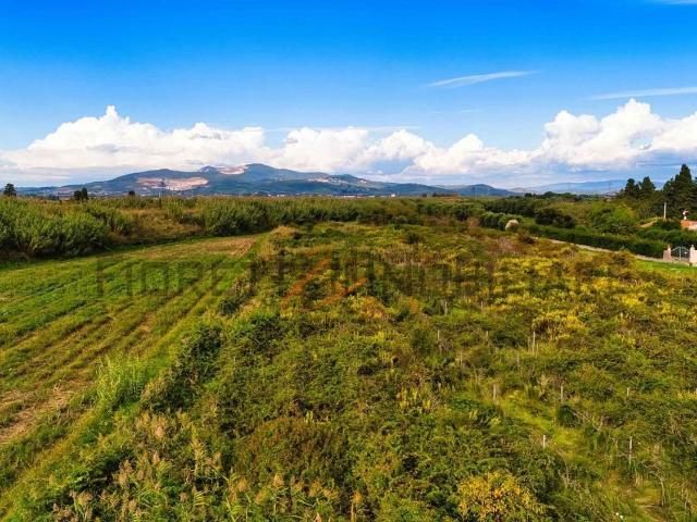 Terreno in vendita di 37195 m² in Località la Sdriscia, 50