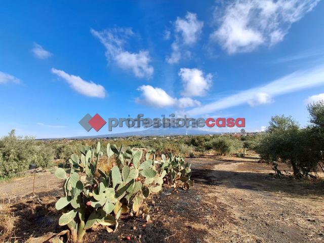Terreno in vendita di 3850 m² in Contrada Cicuta