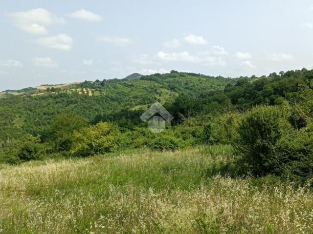 Terreno in vendita di 38583 m² in Via Colombaraccia