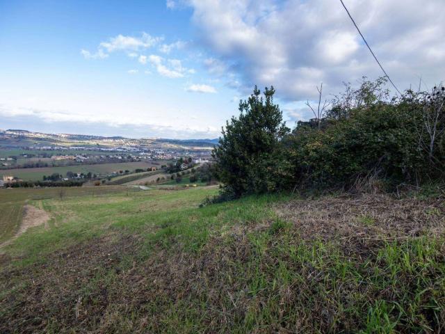 Terreno in vendita di 3880 m² in Via San Giovanni Bosco