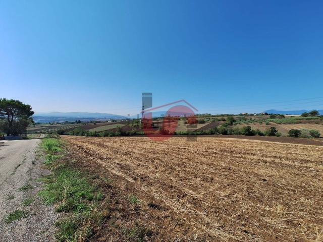 Terreno in vendita di 38000 m² in Contrada Montecalvo