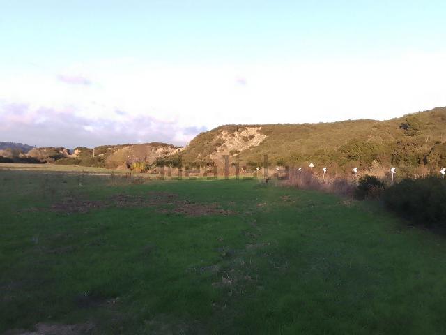 Terreno in vendita di 38000 m² in Strada Provinciale Pisticci San Basilio
