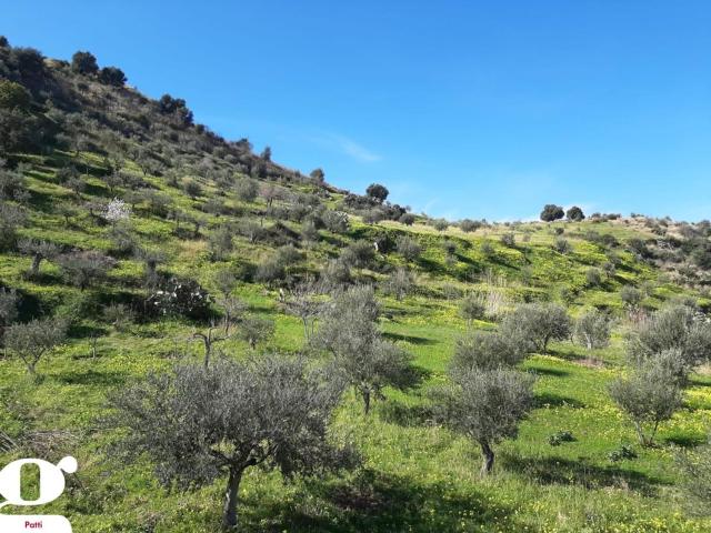 Terreno in vendita di 3800 m² in Contrada Moreni Soprani, 59