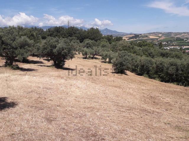 Terreno in vendita di 3800 m² in Contrada Colle Luce