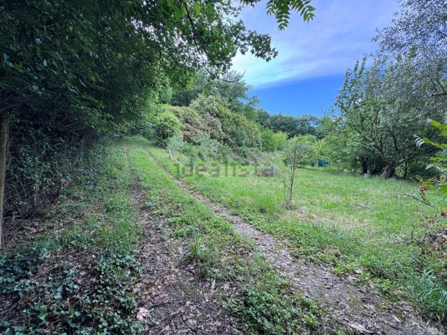 Terreno in vendita di 3800 m² in Località Maltraverso