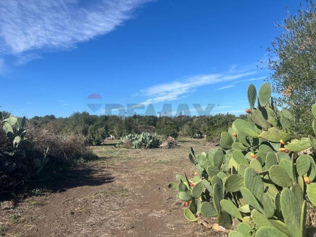 Terreno in vendita di 3800 m² in Strada Comunale Decima