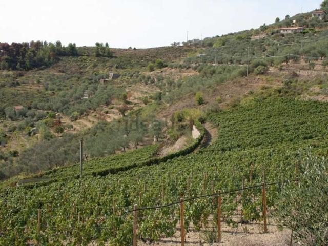 Terreno in vendita di 38200 m² in Via Miramonti, 3