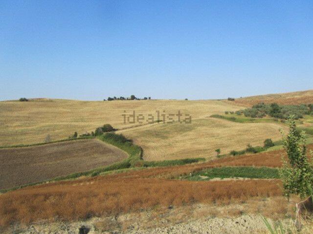 Terreno in vendita di 382887 m² in Strada senza nome