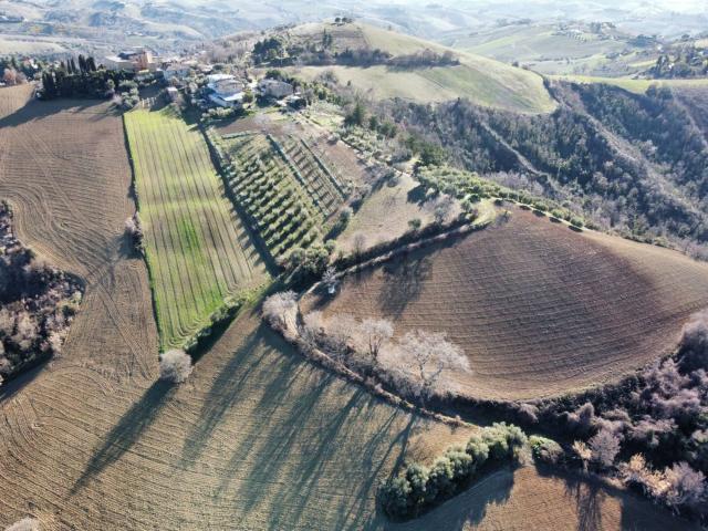Terreno in vendita di 382970 m² in Contrada San Savino