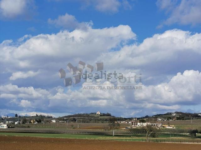 Terreno in vendita di 3948 m²